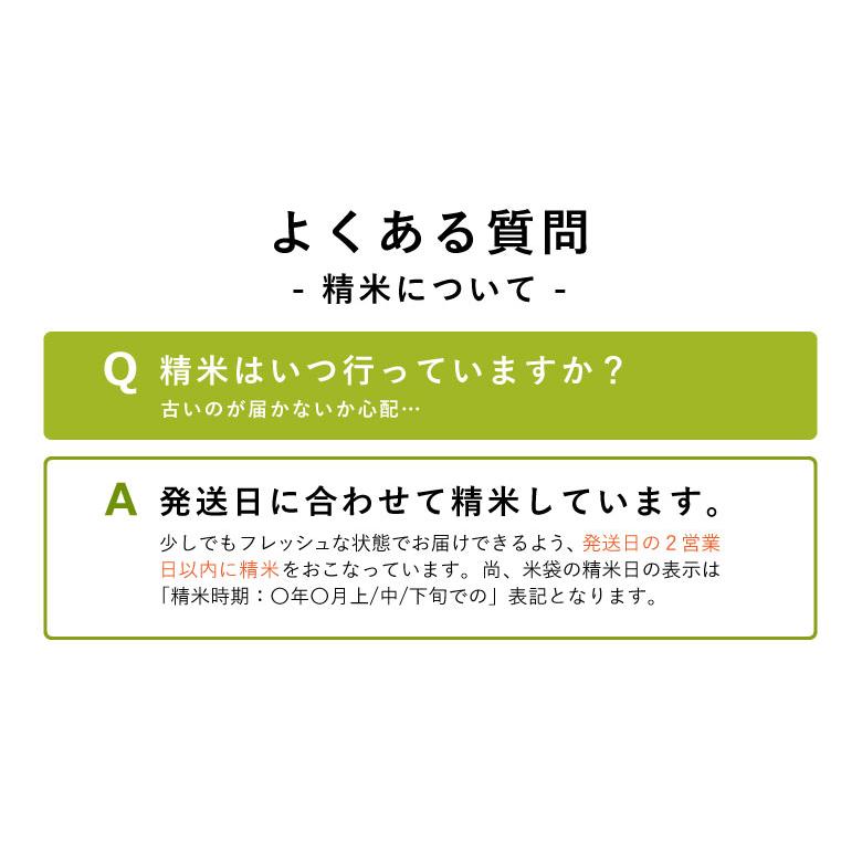 新米 米 もち米 精米10kg ヒヨクモチ 熊本県産 令和5年産 10kg