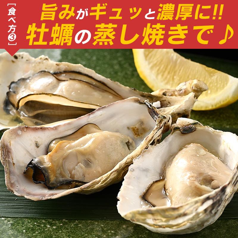 カキ かき 牡蠣 生食用 殻付き 12個 冷凍 兵庫県室津産 冷凍殻付き牡蠣 お歳暮 ギフト