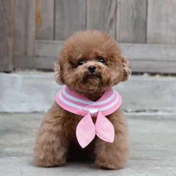 ZAZAZOO 萌少女戰士水手領巾 + 水手結 小兔款  2XS  粉紅色  1組