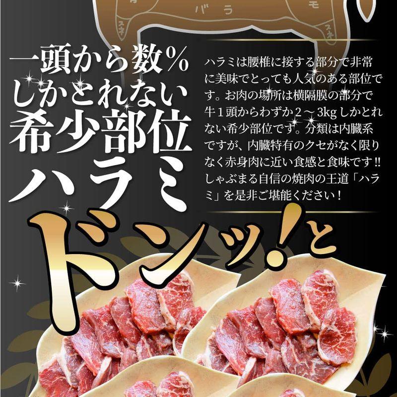 牛 ハラミ 焼肉 1kg（250g×4P）牛肉 メガ盛り バーベキュー用