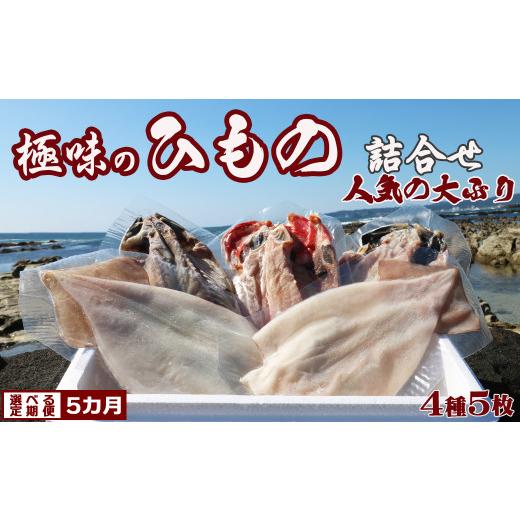 ふるさと納税 千葉県 鴨川市 特選！人気ひもの詰合せ 大ぶり３種＋いか一夜干し２枚 × 選べる５カ月《隔月便》　[0050-0082]