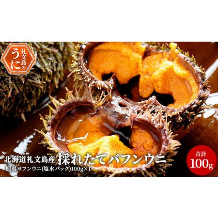 ふるさと納税 北海道 礼文島産 採れたて バフンウニ  塩水パック 100g×1  生うに 生ウニ  塩水うに 北海道礼文町