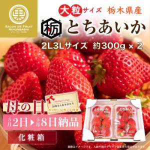 [予約 2024年2月11日-2月14日の納品] バレンタインデー とちあいか いちご 約300g×2パック 苺 栃木県産 高品位