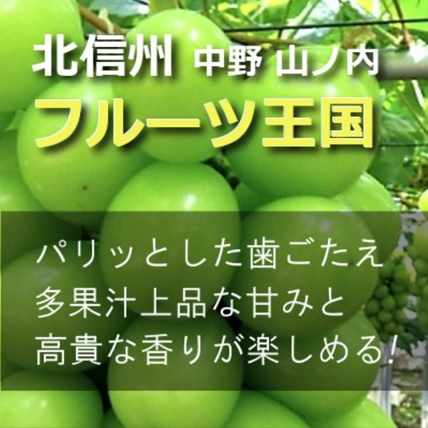 長野県北信州 産地直送 シャインマスカット 贈答用 特上品 3〜5房 約2kg入り 箱 限定販売