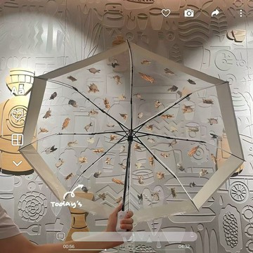 臺灣出貨 ins風透明貓狗高顏值卡通摺疊全自動長柄可愛學生成人雨傘專用