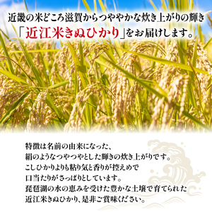 令和5年産 きぬひかり 玄米 30kg 近江米 新米 米粉 200g付