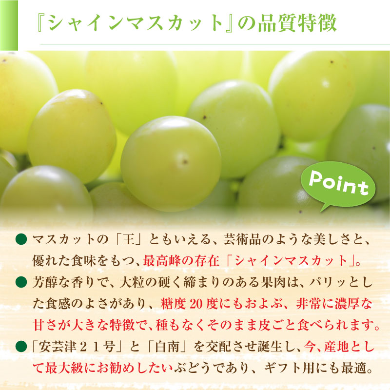 [最短順次発送]  シャインマスカット 2房 約500g 計1kg 山梨県 マスカット 果実箱 夏ギフト  秋ギフト  果実ギフト