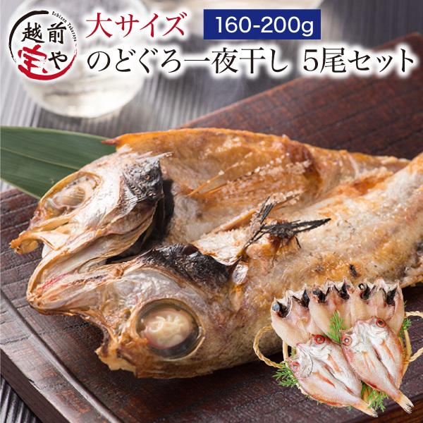 のどぐろ 魚 干物  160-200g×5枚 セット ノドグロ 干物セット 無添加 一夜干し魚 ((冷凍)) プレゼント ギフト