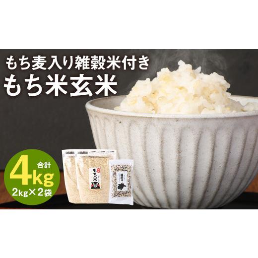 ふるさと納税 熊本県 菊池市 熊本県菊池産 もち米 玄米 2kg×2袋 雑穀米