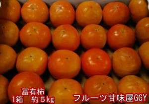 富有柿　訳あり　熊本・福岡産 1箱約5ｋｇ　サイズ3Ｌ～Ｓ 2箱購入で1箱おまけ！！ 送料無料（一部の地域を除く）80サイズ