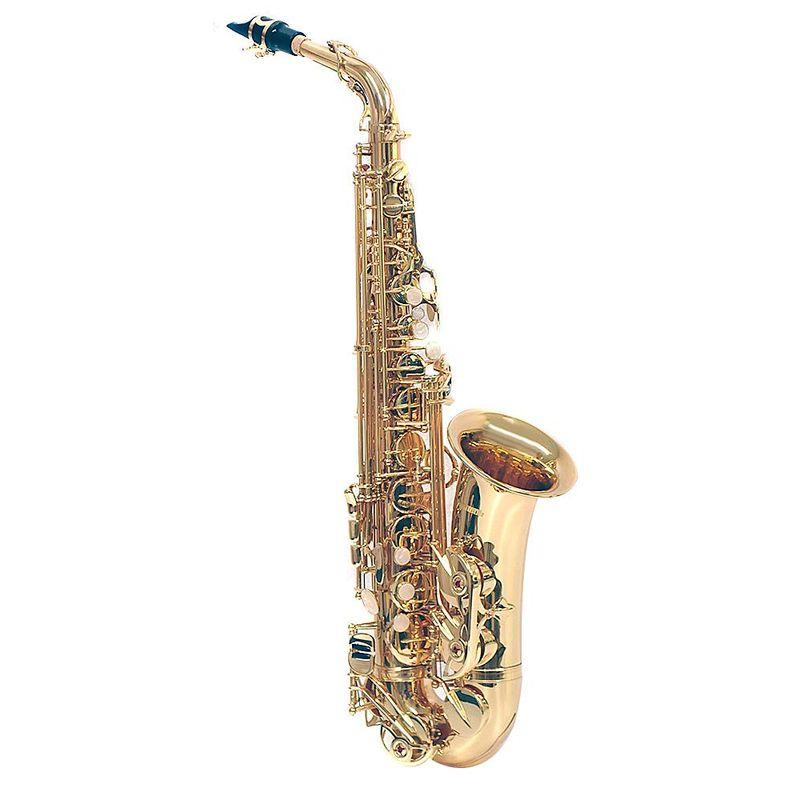 プレイテック アルトサックス PTAS-300 PLAYTECH ALT SAX - 管楽器