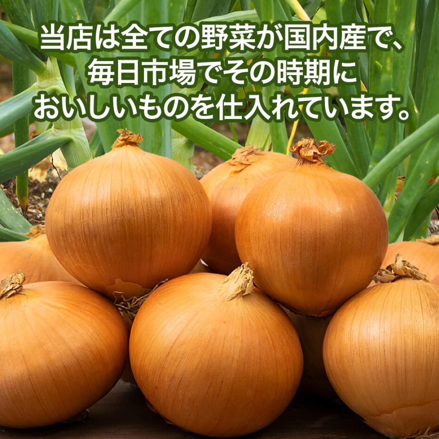 たまねぎ 5kg Ｌ〜２Ｌ 玉葱 ご家庭用 大量 野菜 国産 玉ねぎ