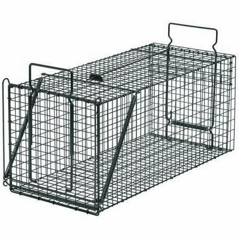税込 It 3 Tsubame4589676162039 頑張って送料無料 In Made No 203 捕獲対象 イタチ オス シンプルな形の中にたくさんの機能 大きな動物も逃さない釣りエサタイプ 栄工業 Type 栄ヒルズd 虫除け 殺虫剤 Abhivairavan Com