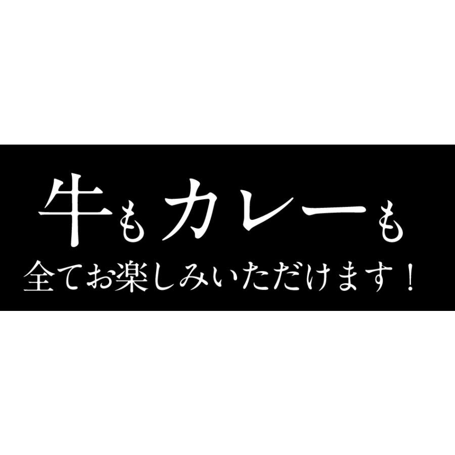 牛丼 牛丼の具 牛ホルモン焼き5個＆松屋オリジナルカレー15袋＆牛めしの具〜プレミアム仕様〜10個セット 通販限定発売 肉 絶品 仕送り 業務用 食品 おかず