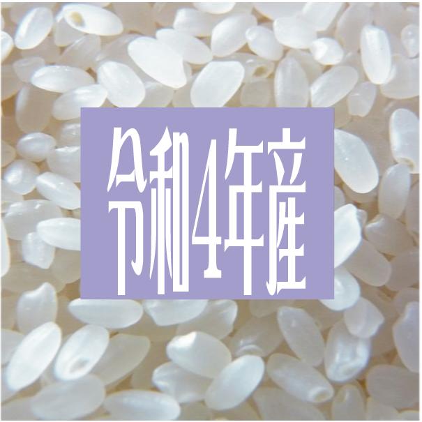 米　令和4年度産　滋賀県産　羽二重もち米 600ｇ