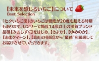糖度14度以上未来を感じるいちご※12月中旬より順次配送