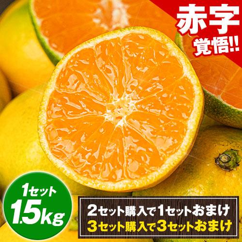 みかん 訳あり 送料無料 2セット購入で1セットおまけ 1セット1.5kg入 お取り寄せフルーツ 柑橘類 ミカン わけあり 九州産 7-14営業日以内に出荷予定