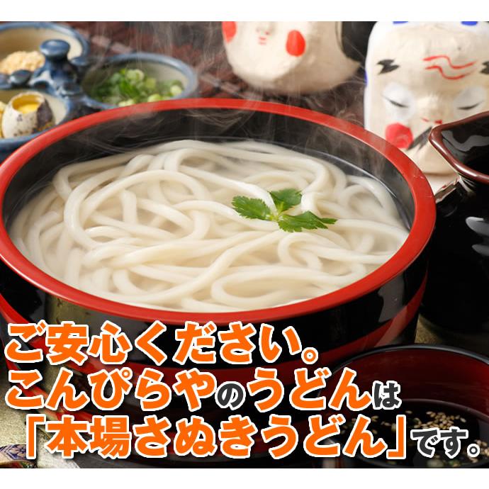 訳あり 半生 極太 讃岐うどん 1000g 極太麺 1kg 約10人前 ポスト投函便での配送(代金引換-後払い不可・着日指定不可)