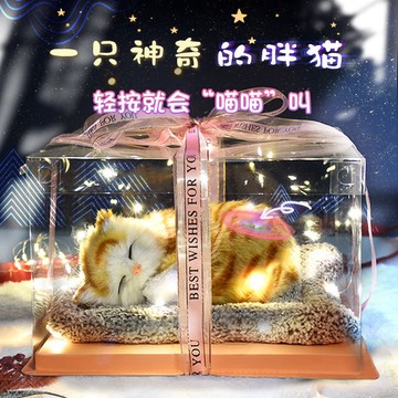 🎁【仿真貓禮盒】女孩生日禮物 貓咪玩偶套裝 台灣出貨 逼真可愛 陪伴成長 兒童  愛