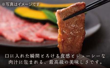 長崎和牛 ロース 焼肉用 約600g[KAD153]  長崎 平戸 肉 牛 牛肉 黒毛和牛 和牛 焼肉 ロース 冷蔵 定期便