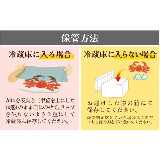 ふるさと納税 福井県 福井市 Ｄ　越前がに(越前産ズワイガニ・オス)1.3〜1.4ｋｇ×１杯 　合計１個 [L-096012_04]