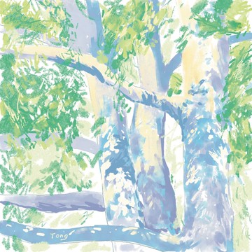 好天氣【一年風景】明信片