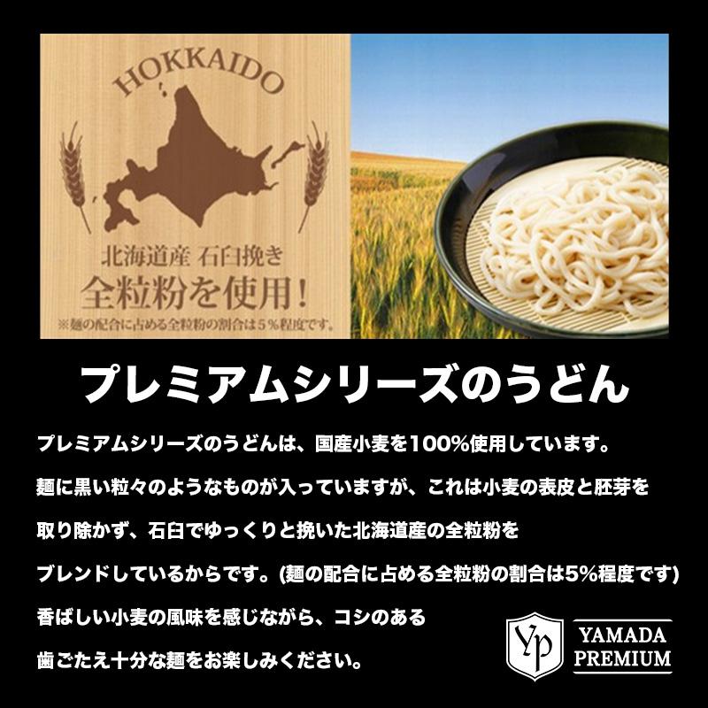 熟成カレーうどん２食セット 冷凍食品 ギフト プレゼント お取り寄せグルメ ポイント消化