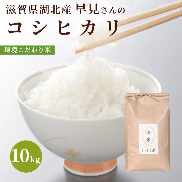 令和５年 滋賀県湖北産 早見さんのコシヒカリ 10kg 