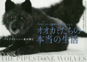 30年にわたる観察で明らかにされたオオカミたちの本当の生活　パイプストーン一家の興亡　ギュンター・ブロッホ 著　ジョン・E・マリオッ