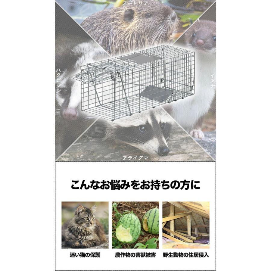 動物捕獲器 アニマルトラップ Mサイズ 25x66x26cm 小動物 猫用 踏板式 バネ式 迷子猫 野良猫 犬 イタチ ねずみ 害獣 保護 簡単設置