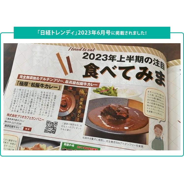 極厚　牛ほほ肉カレー＋松阪牛カレー　2種セット　（260g×2）　ブリオカフェ　レトルトカレー　　食品A（DM）