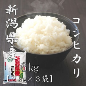 米 お米 令和5年産 新潟県 コシヒカリ 2kg×3袋 合計 6kg