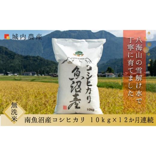 ふるさと納税 新潟県 南魚沼市 新米 令和５年産 南魚沼産コシヒカリ　無洗米１０ｋｇ＜５割減農薬栽培米＞　城内農産