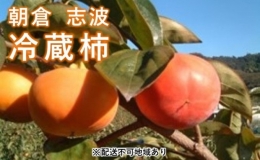 柿 志波 富有柿 冷蔵 約3kg 11～12玉 配送不可 離島