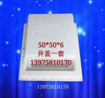 50x50x6方井蓋下水道雨水箅馬路小區市政公路混凝土窨井塑料模具