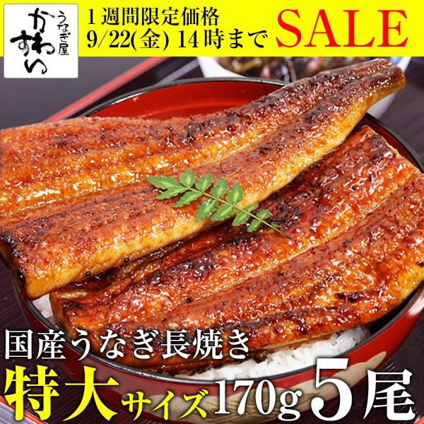 うなぎ 蒲焼き 国産 特大サイズ170g 5尾 ウナギ 鰻 送料無料