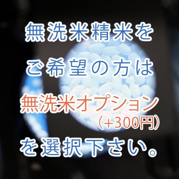 数量限定入荷 米 30kg 新潟県産コシヒカリ 令和5年産 玄米 30kg 送料無料 本州のみ