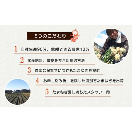 ふるさと納税 淡路島たまねぎと食べる玉ねぎドレッシングセット 兵庫県淡路市