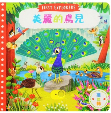 推拉轉系列 ：美麗的鳥兒[二手書_良好]