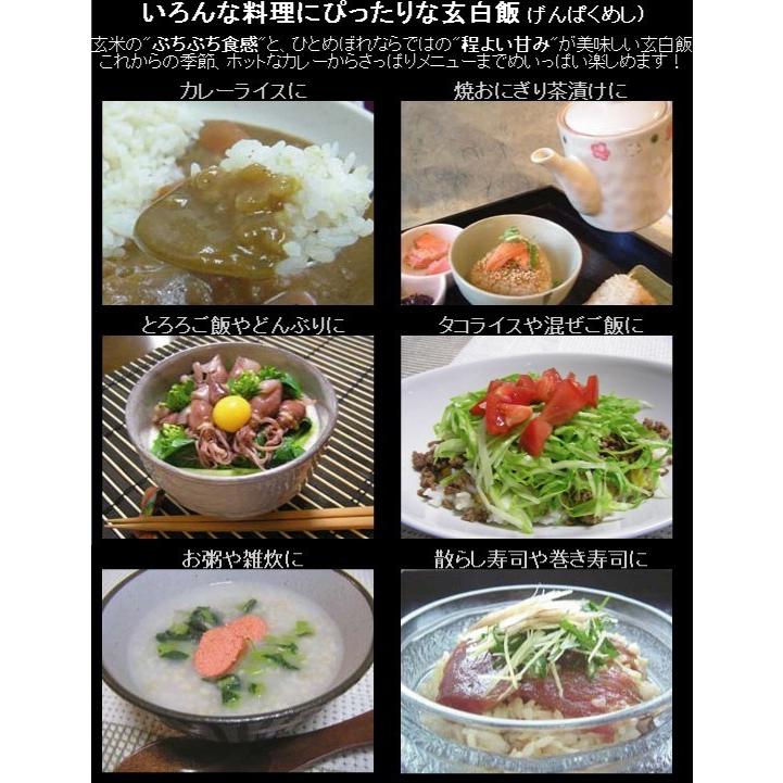 無洗米 玄白飯 2合(300g)×30袋 ひとめぼれ 宅配便送料込み 令和5年産 (玄米と白米を1:1でブレンド) 米 食品