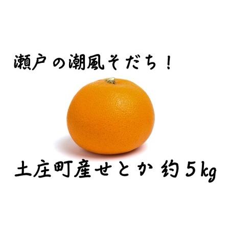 ふるさと納税 小豆島　せとか　約5kg 香川県土庄町