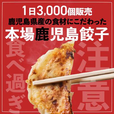 ふるさと納税 鹿児島市 鹿児島人気餃子店のお得な餃子食べ比べセット