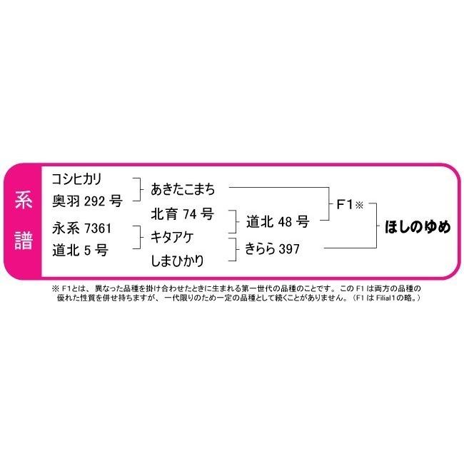 北海道産（当麻産）ほしのゆめ　15kg (５kg×３袋)　精米 籾貯蔵 真空パック対応　令和5年産　白米 お米  米