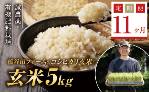 《定期便11ヶ月》減農薬・有機肥料栽培 西会津産米コシヒカリ 玄米 5kg 米 お米 おこめ ご飯 ごはん 福島県 西会津町 F4D-0396