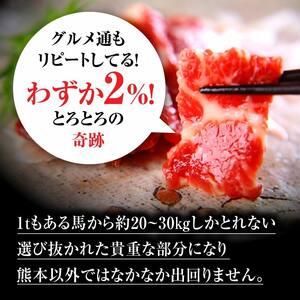 ふるさと納税 霜降り馬刺しの食べ比べ約600g（大トロ馬刺し・中トロ馬刺し各約300g）を毎月お届け！醤油・生姜の小袋付き 熊本県阿蘇市