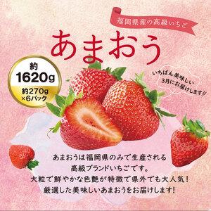 ふるさと納税  あまおう いちご 1,620g 約 270g × 6パック 糸.. 福岡県糸島市