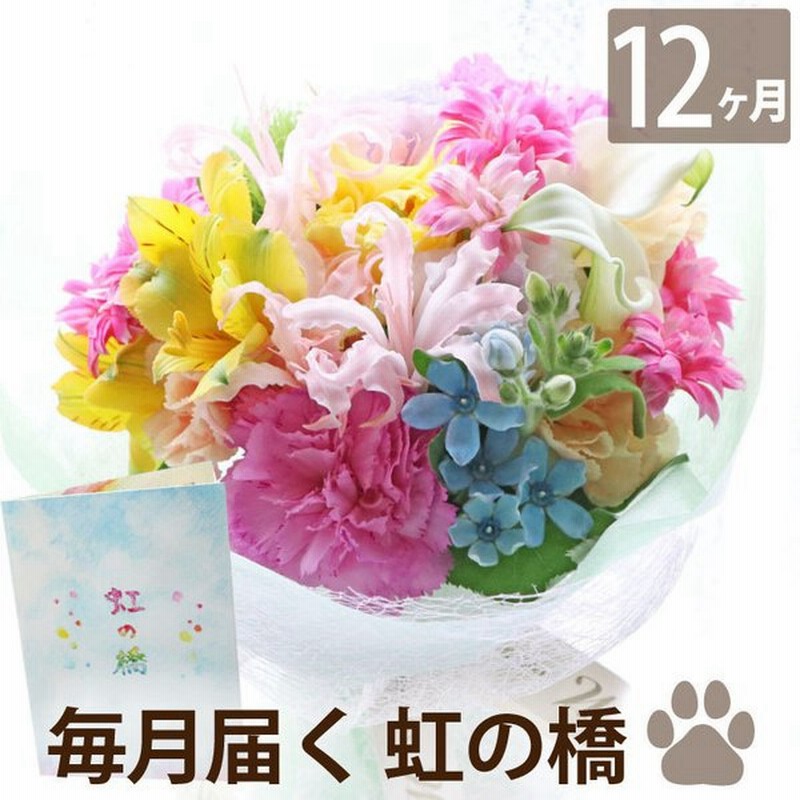 お悔やみ 花 定期便 ペット 虹の橋 あの子 月命日 12か月 ふわふわ コース お盆 新盆 お供え 生花 供花 アレンジメント 枕花 犬 猫 一周忌 法要 通販 Lineポイント最大0 5 Get Lineショッピング