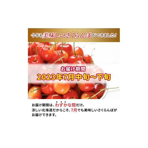 ふるさと納税 北海道 仁木町 先行受付 2024年7月から出荷 北海道 仁木町産 サクランボ 紅秀峰 1.2kg 厳選品  松山商店