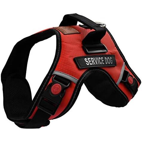 Albcorp service 2025 dog vest