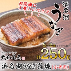 浜名湖うなぎ蒲焼(小丼用)計250g　サイズ不揃い5～6袋